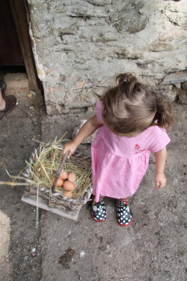 Appartamento Boeglerhof Uderns Esterno foto