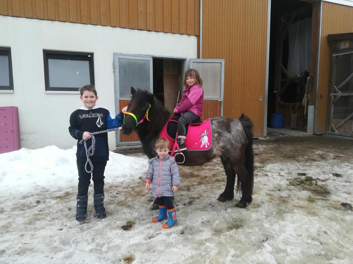 Appartamento Boeglerhof Uderns Esterno foto