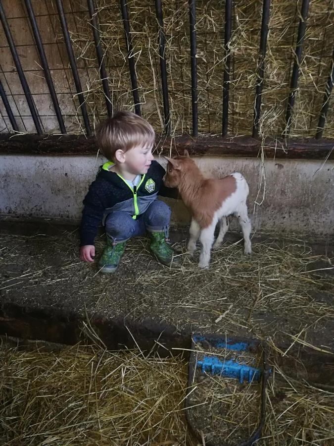 Appartamento Boeglerhof Uderns Esterno foto