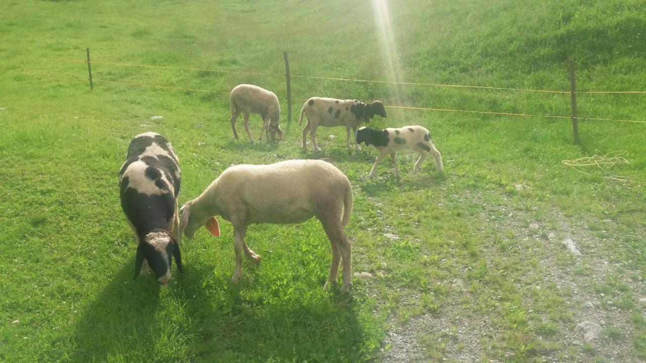 Appartamento Boeglerhof Uderns Esterno foto