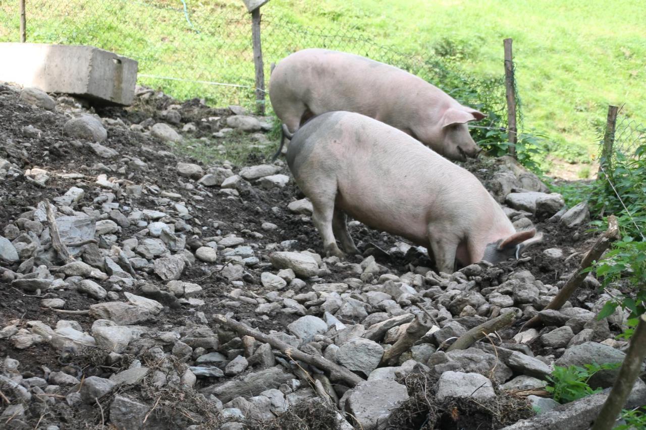 Appartamento Boeglerhof Uderns Esterno foto