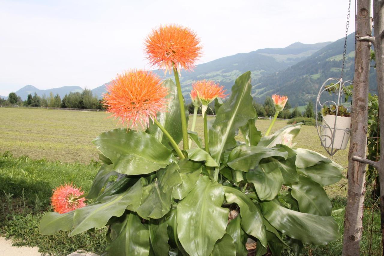 Appartamento Boeglerhof Uderns Esterno foto