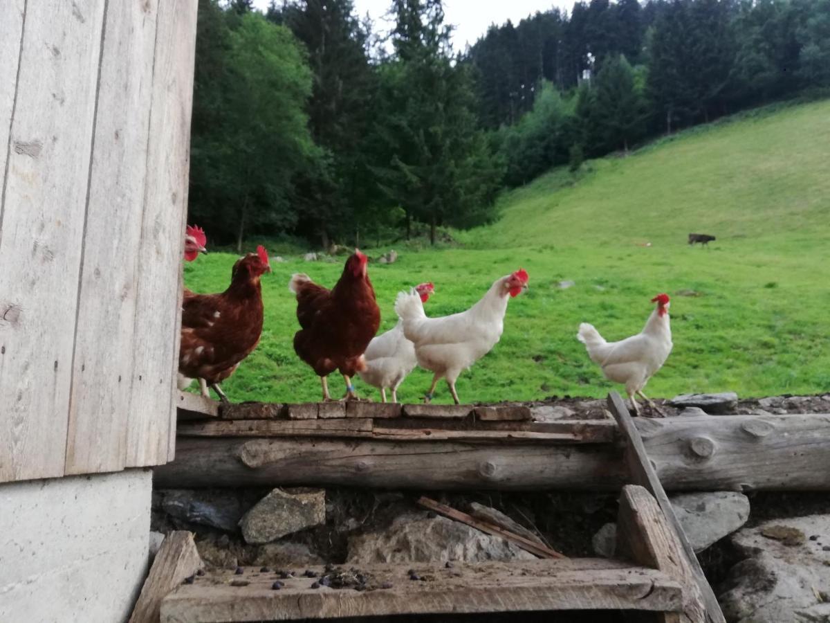 Appartamento Boeglerhof Uderns Esterno foto