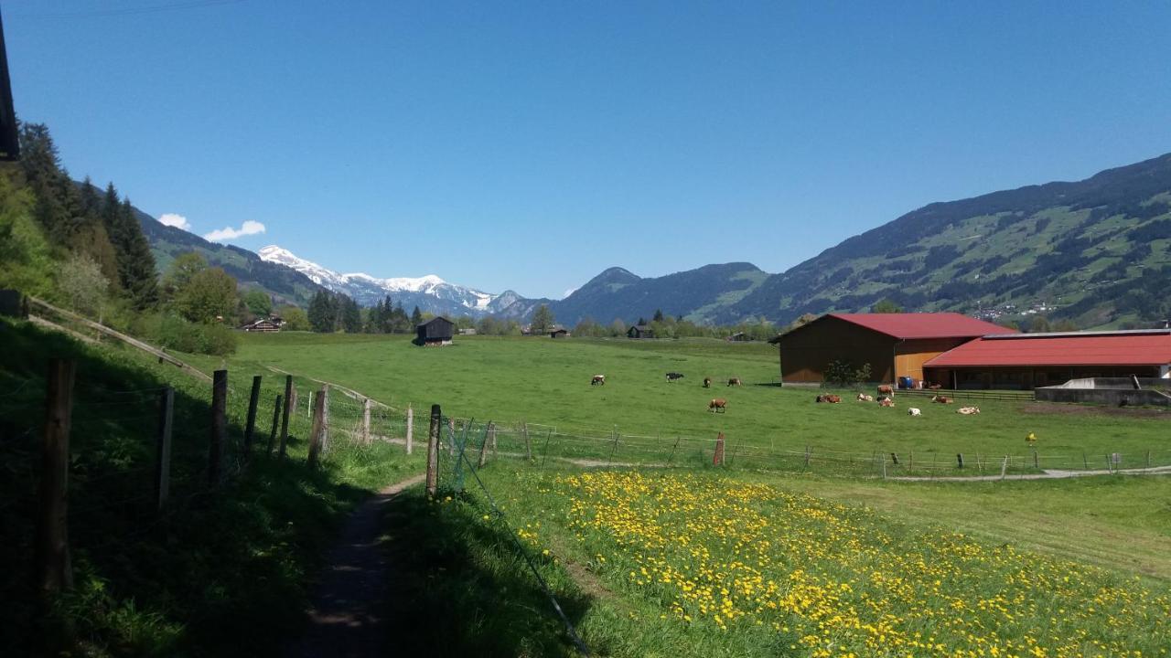 Appartamento Boeglerhof Uderns Esterno foto
