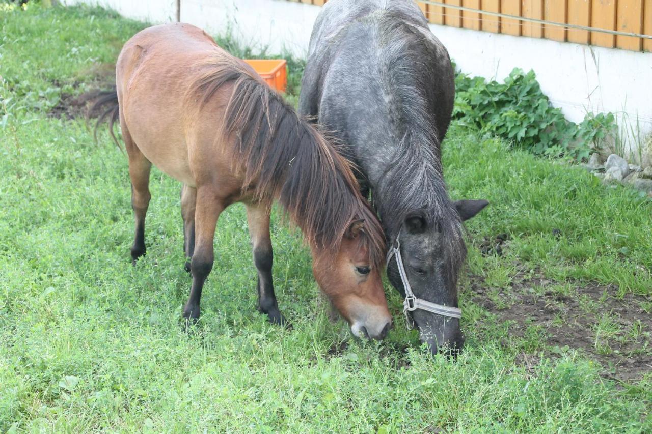 Appartamento Boeglerhof Uderns Esterno foto