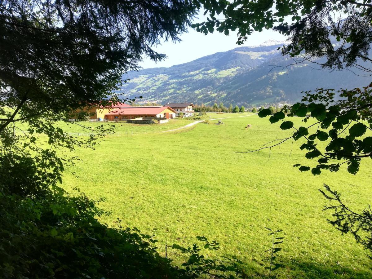 Appartamento Boeglerhof Uderns Esterno foto