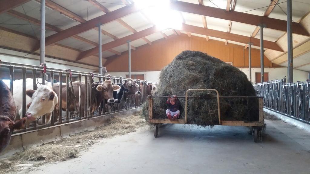 Appartamento Boeglerhof Uderns Esterno foto