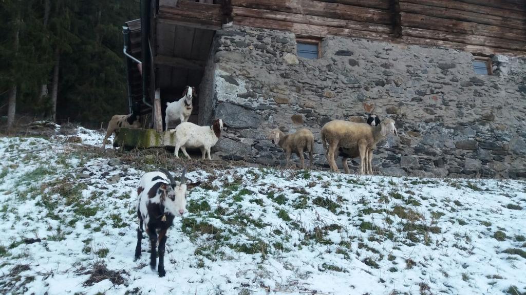 Appartamento Boeglerhof Uderns Esterno foto