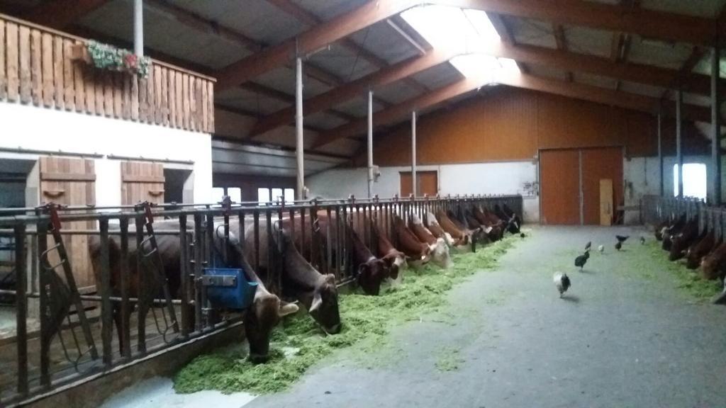 Appartamento Boeglerhof Uderns Esterno foto