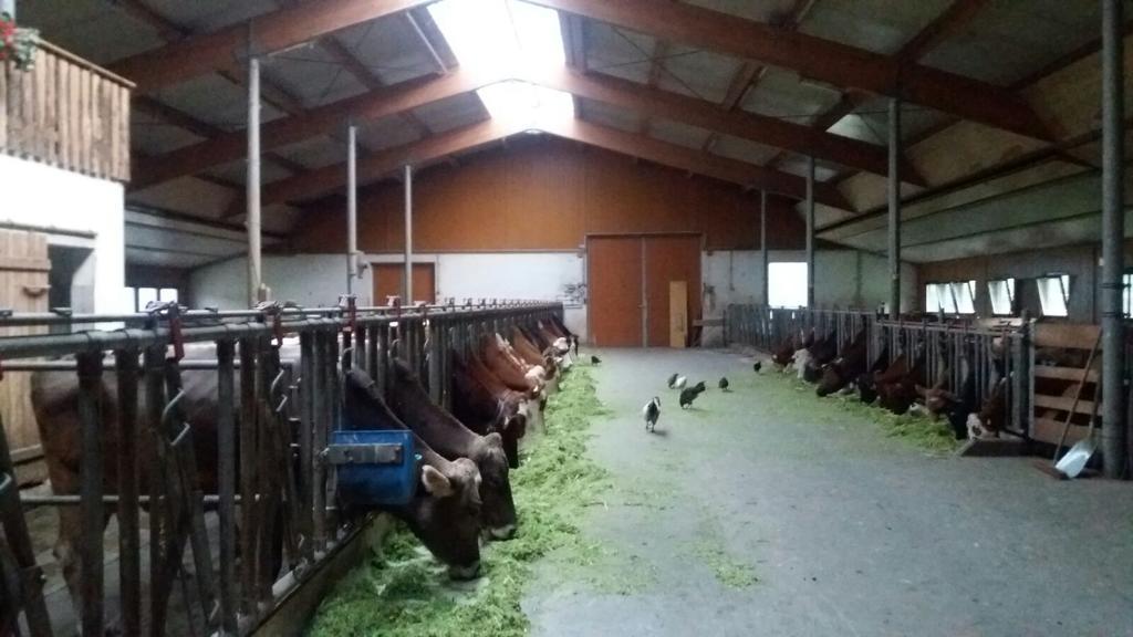 Appartamento Boeglerhof Uderns Esterno foto